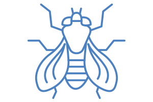 Insect Removal - Leeds