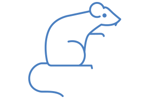 Rodent Pest Control - Birmingham